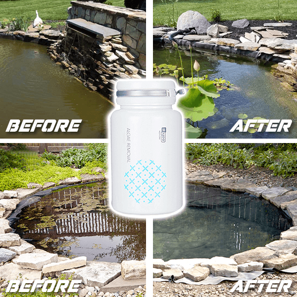 Natural Water Cleaner – Naturalny środek czyszczący do wody z alg slider