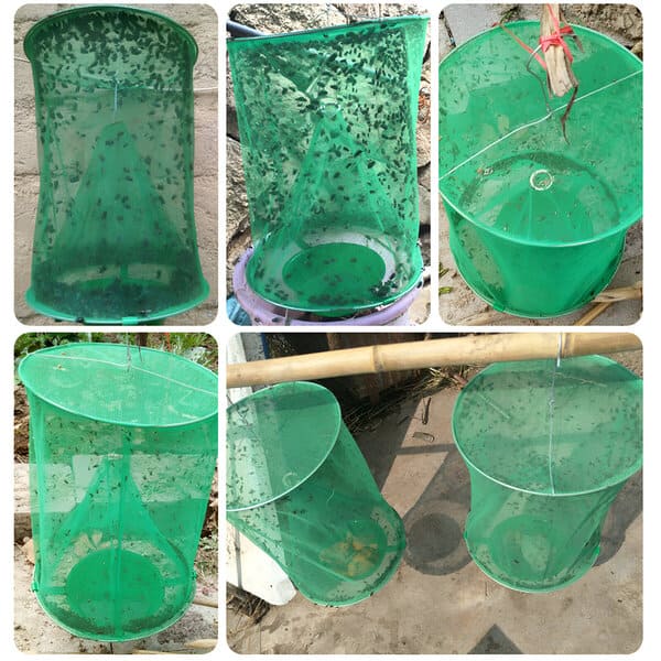 Siatka wahadłowa do łapania owadów i chrząszczy – INSECTUS slider