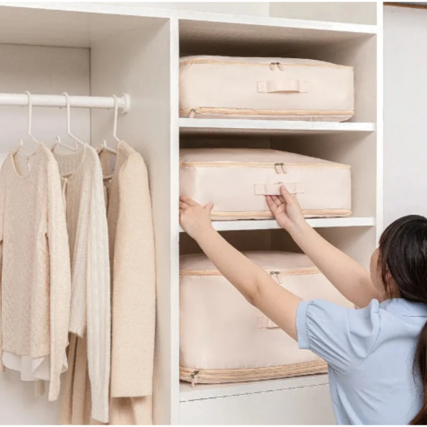 STORAGEBAG – Składana torba organizacyjna do szaf 02